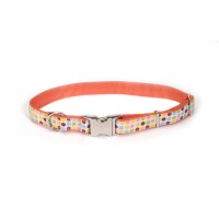 Coastal Pet Attire Ribbon ошейник для собак, 1,6смХ30см , точка.